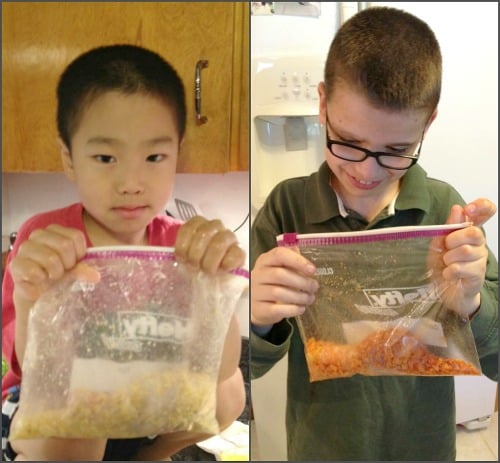 chickeninbags