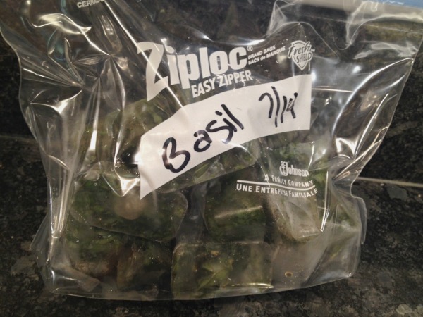 basil-ice-cubes-in-bag