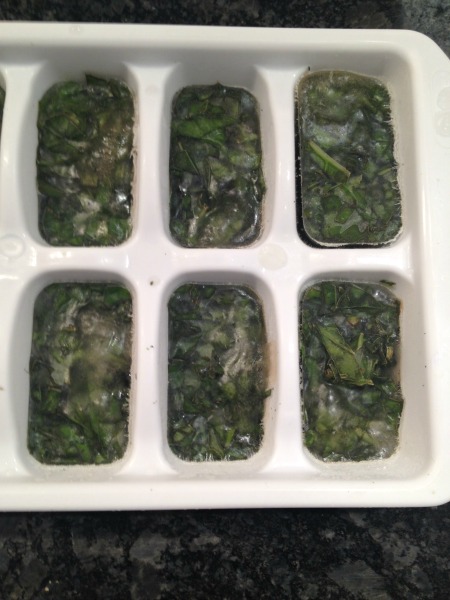 basil-ice-cubes