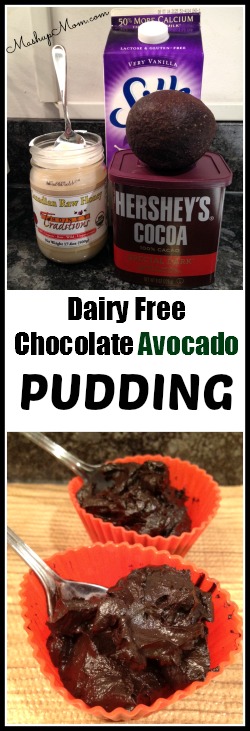 dairy-free-chocolate-avocado-pudding-easy-recipe