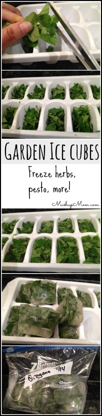 garden-ice-cubes-freeze-herbs-pesto-more