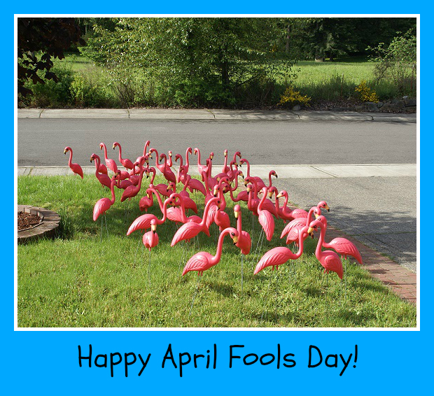 flamingo April Fool's Day prank