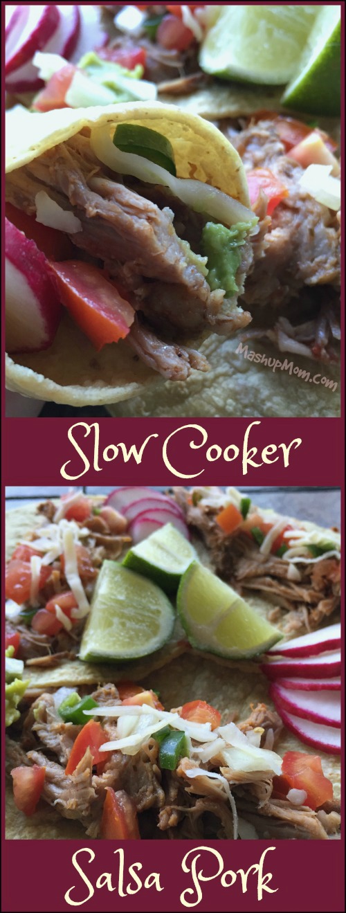 crock pot salsa pork