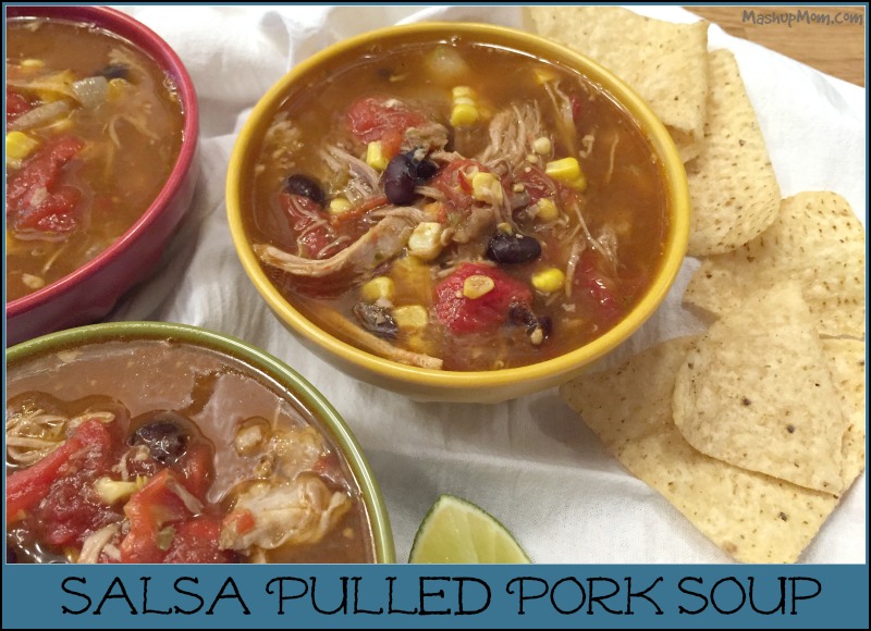 salsa pulled pork soup