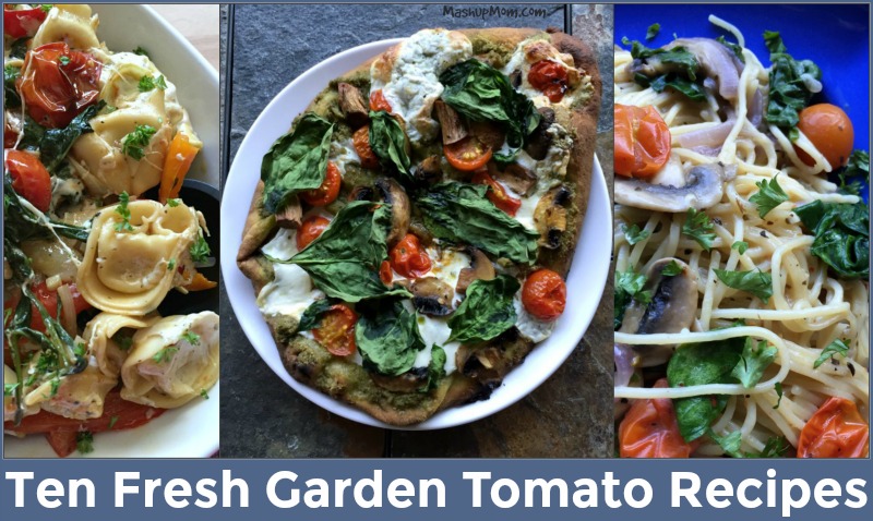 ten garden tomato recipes