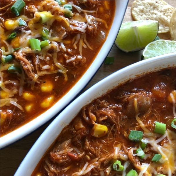 Easy Carnitas Stew