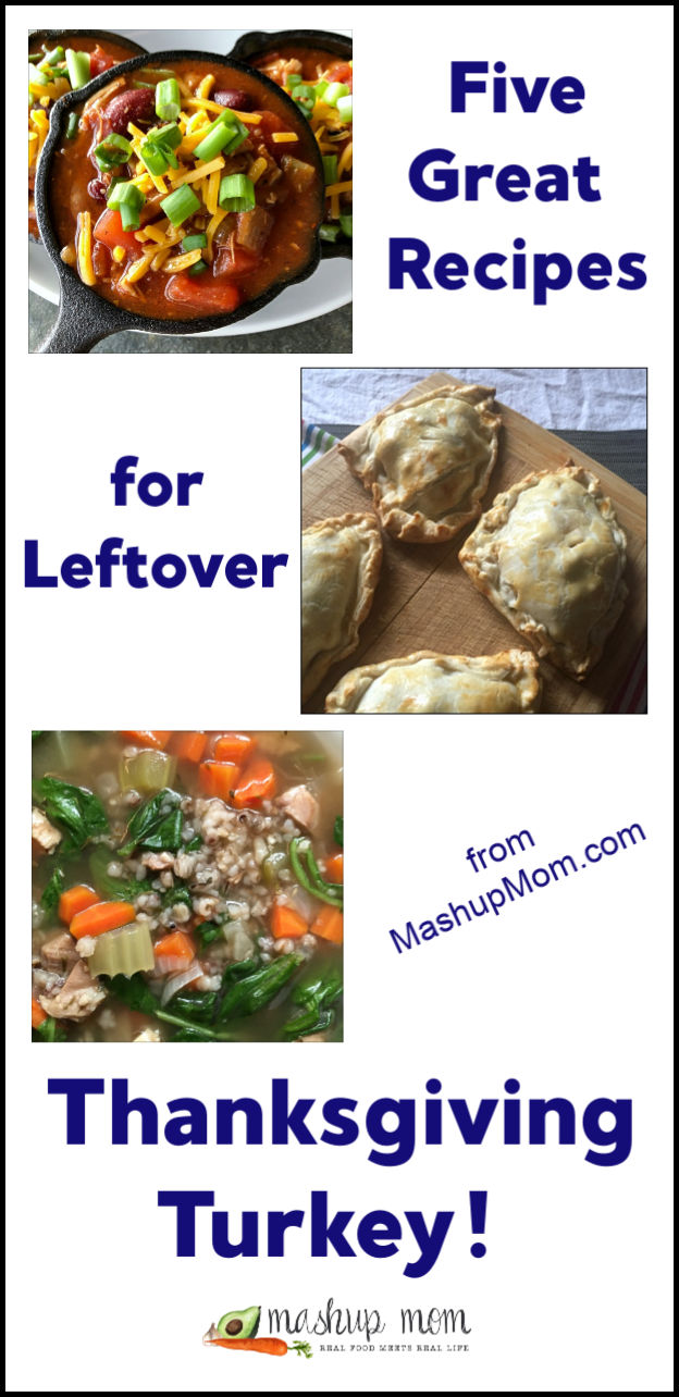 recipe ideas for leftover turkey