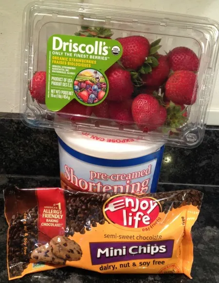 dairy-free-chocolate-covered-strawberries-ingredients