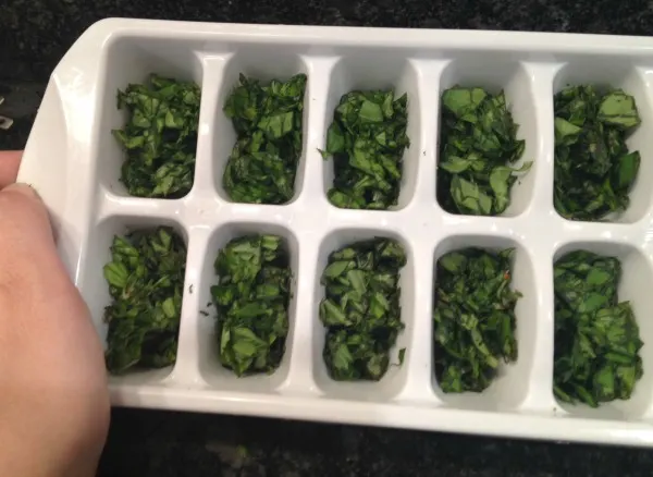 fill-tray-with-basil