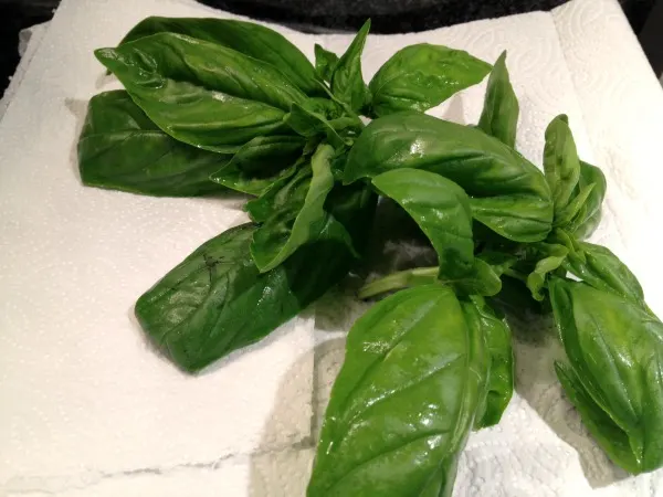 fresh-basil