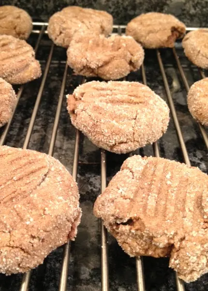 chocolate-sunbutter-cookies-on-rack