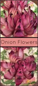bloomin-onion-flowers