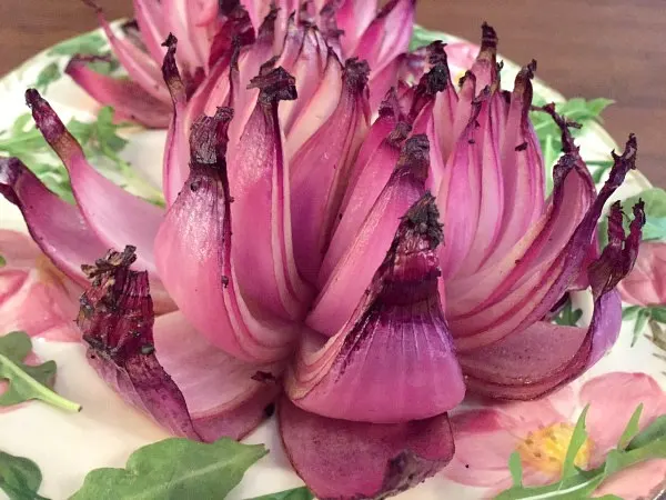 blooming red onion