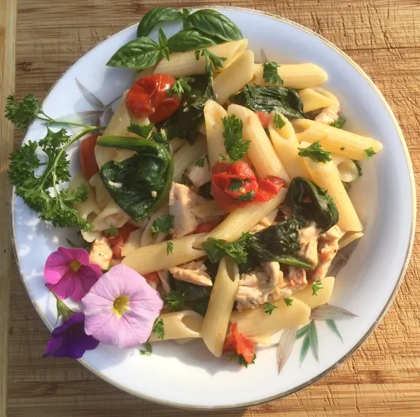 gluten-free-spinach-penne-psata