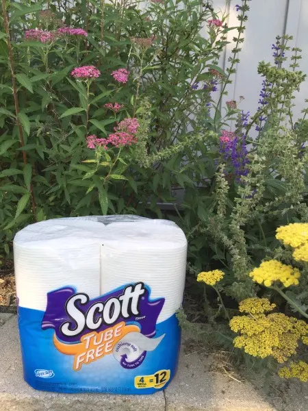 scott-tube-free-tp-in-bee-garden