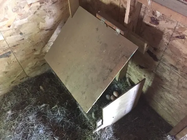 nesting-box