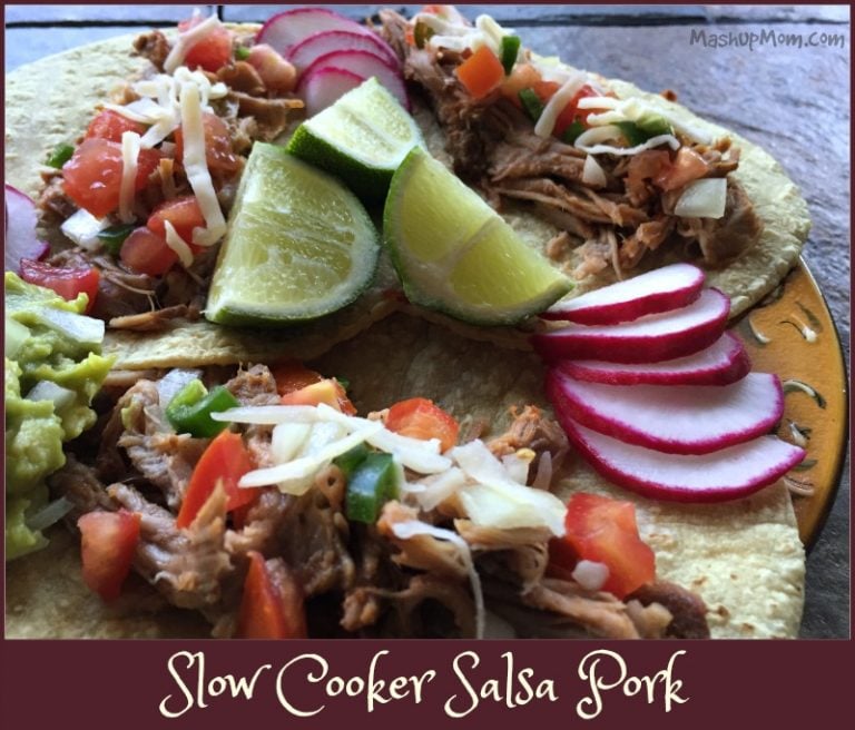 Slow Cooker Salsa Pork -- An easy Crock-Pot recipe