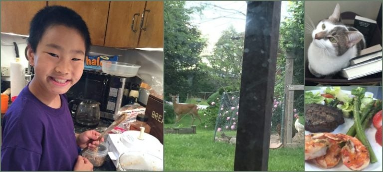 Oh Deer! A week of critters, food, and video games