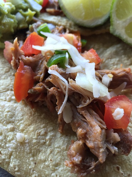 salsa pork taco