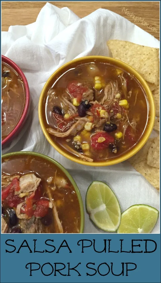 salsa pulled pork soup