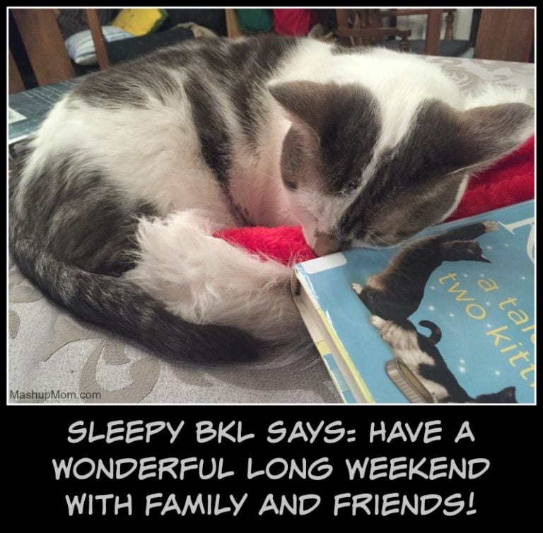 Vacation Caturday -- Have a great holiday weekend!