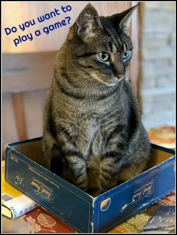 cat in trivial pursuit box