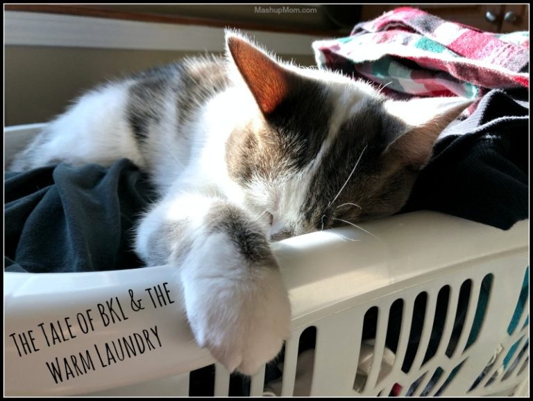 Caturday with the Notorious BKL and Friends: Relax! Edition