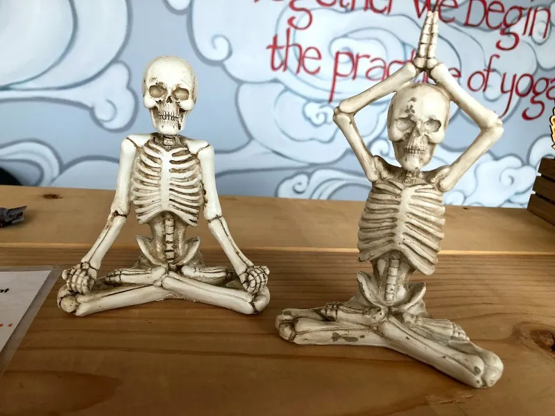 yoga skeletons