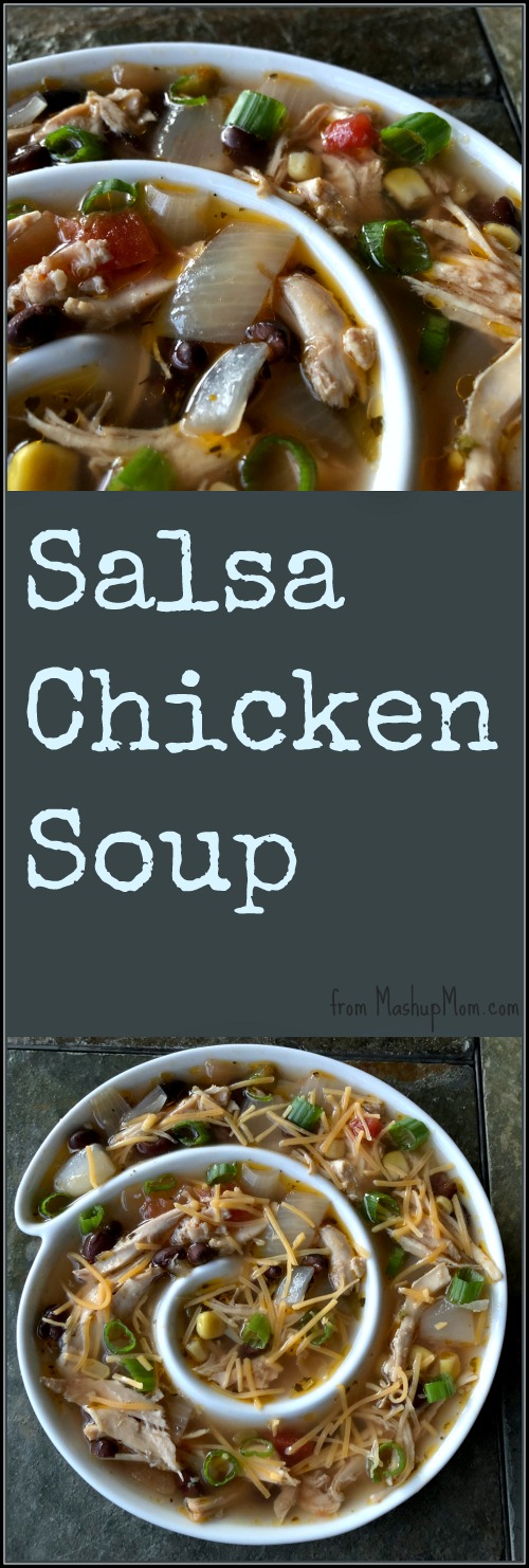salsa chicken soup recipe