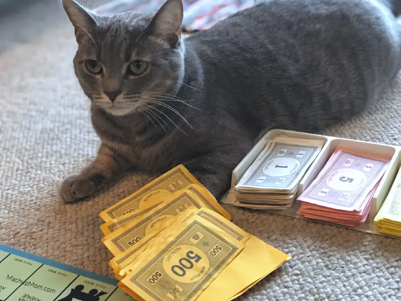 cat monopoly