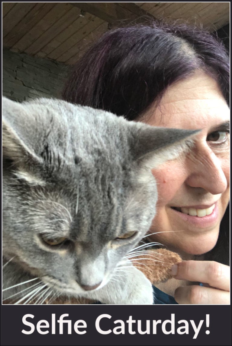 Caturday with the Notorious BKL and Friends: Selfie-Cat Edition