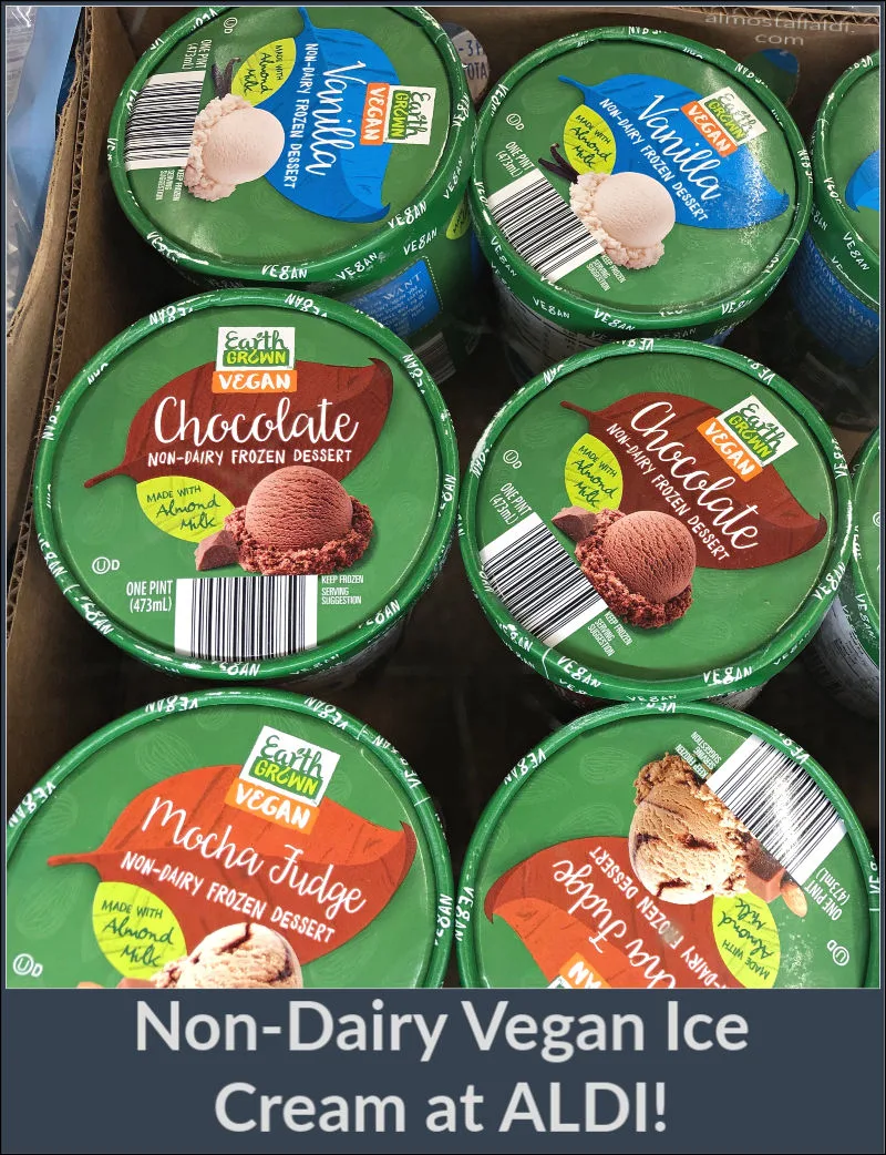 non-dairy vegan ice cream at aldi