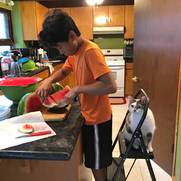 Cutting watermelon, supervised by a cat