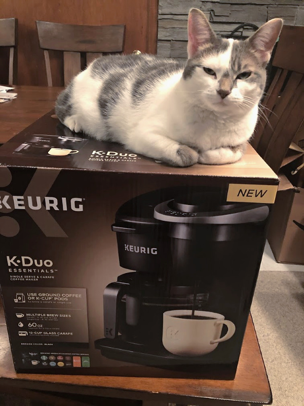 white cat with gray spots sitting on a keurig box
