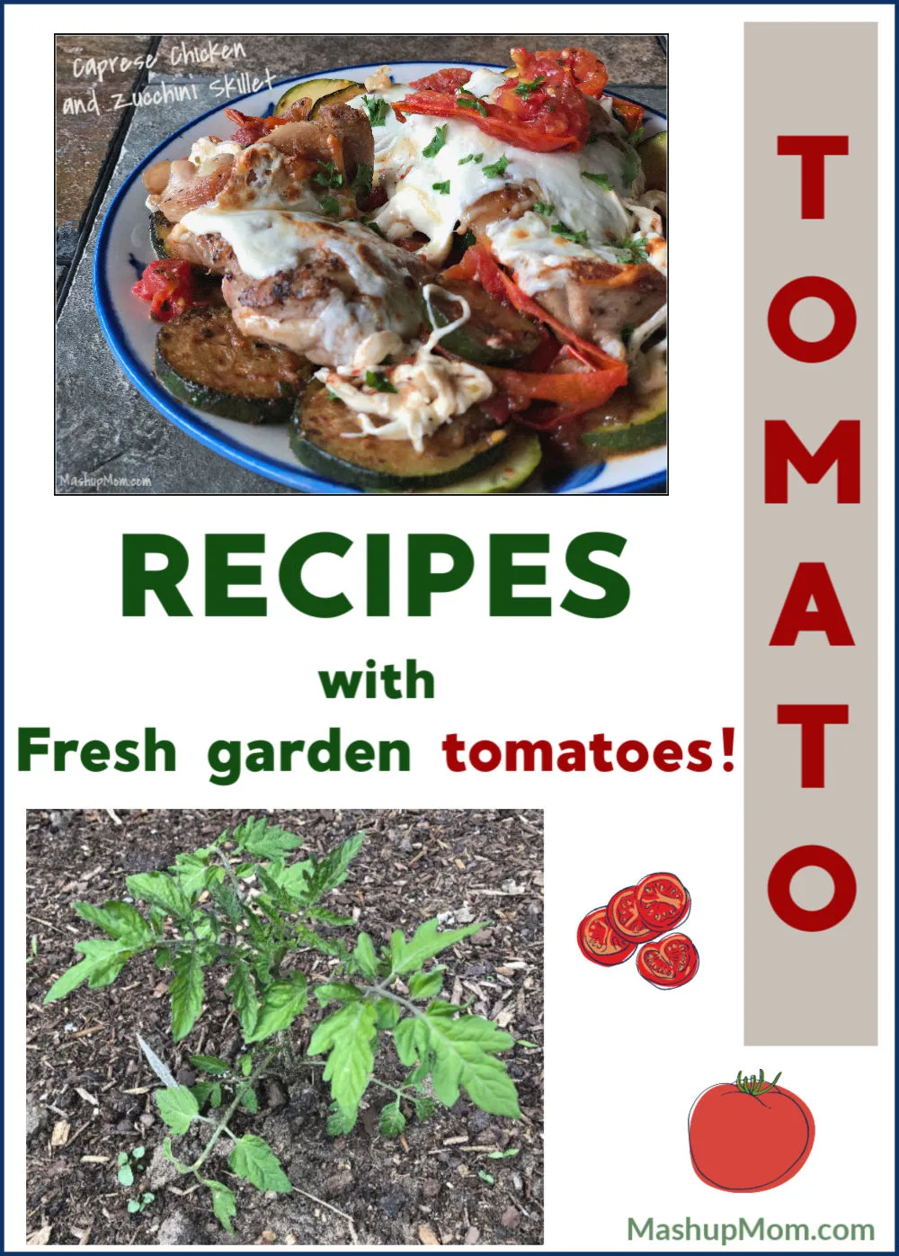 recipes with garden tomatoes