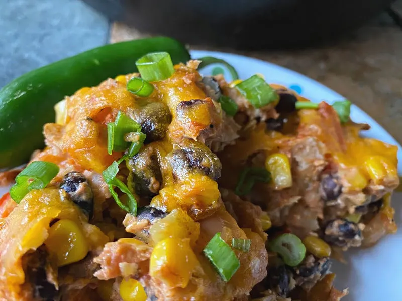 a serving of vegetarian enchiladas on a plate