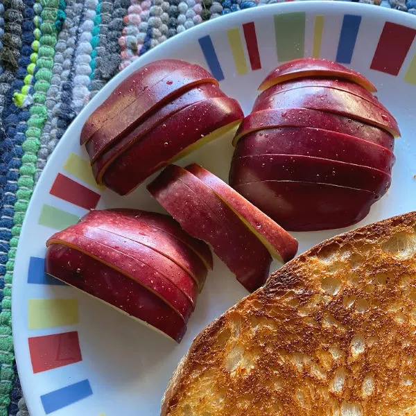 grilled cheese sandwich and apple slices