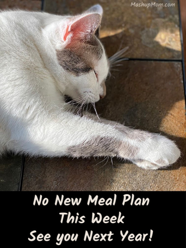 no new ALDI meal plan this week -- see you in 2020!