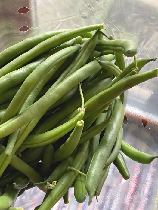 bag of fresh green beans