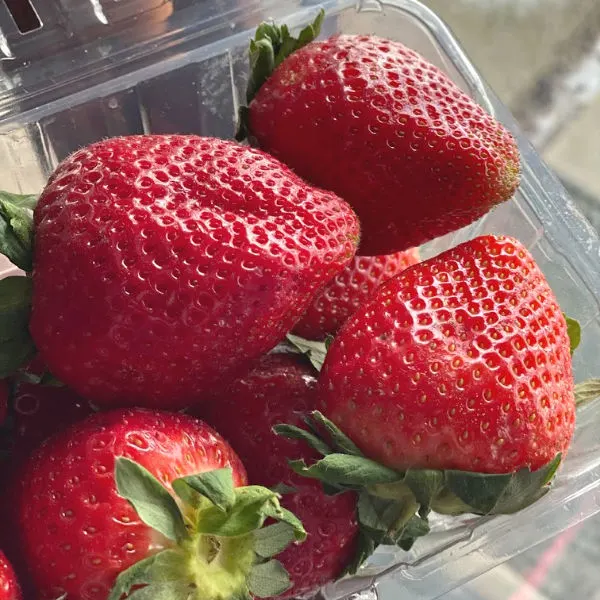 container of big red strawberries
