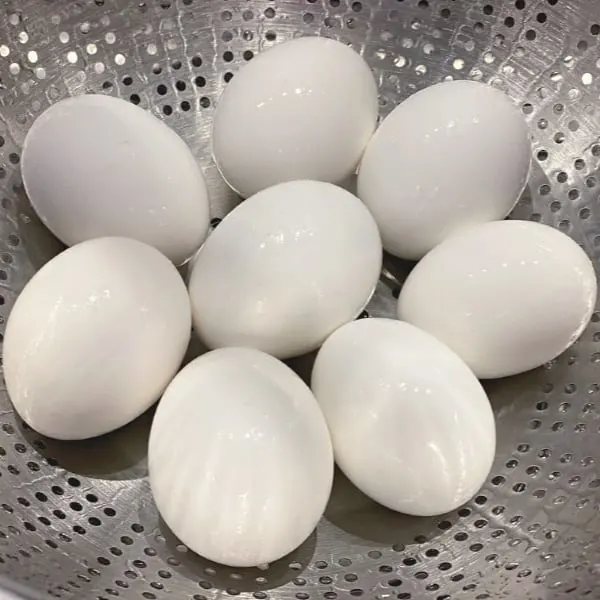 eggs