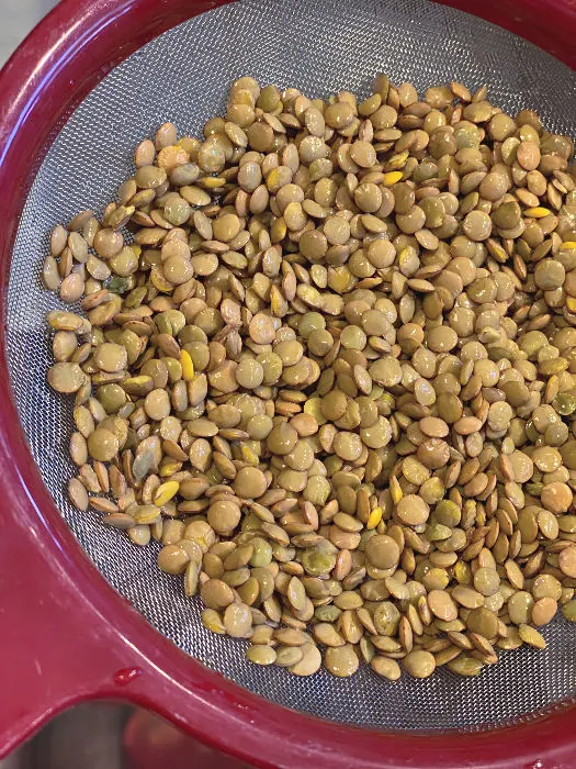 rinse the lentils in a fine mesh strainer