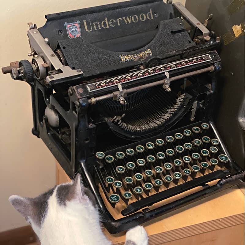 cat and an underwood typwriter