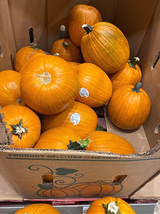 pumpkins at ALDI and more fall Finds