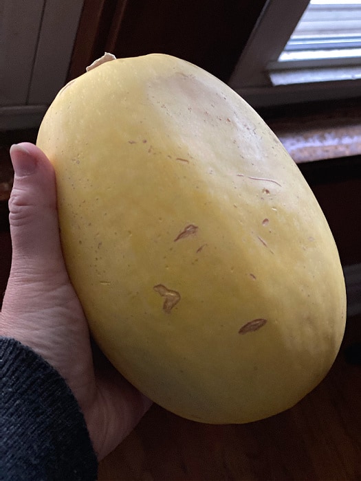 Spaghetti squash from ALDI