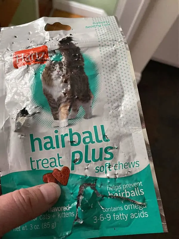 cat chewed cat treats bag