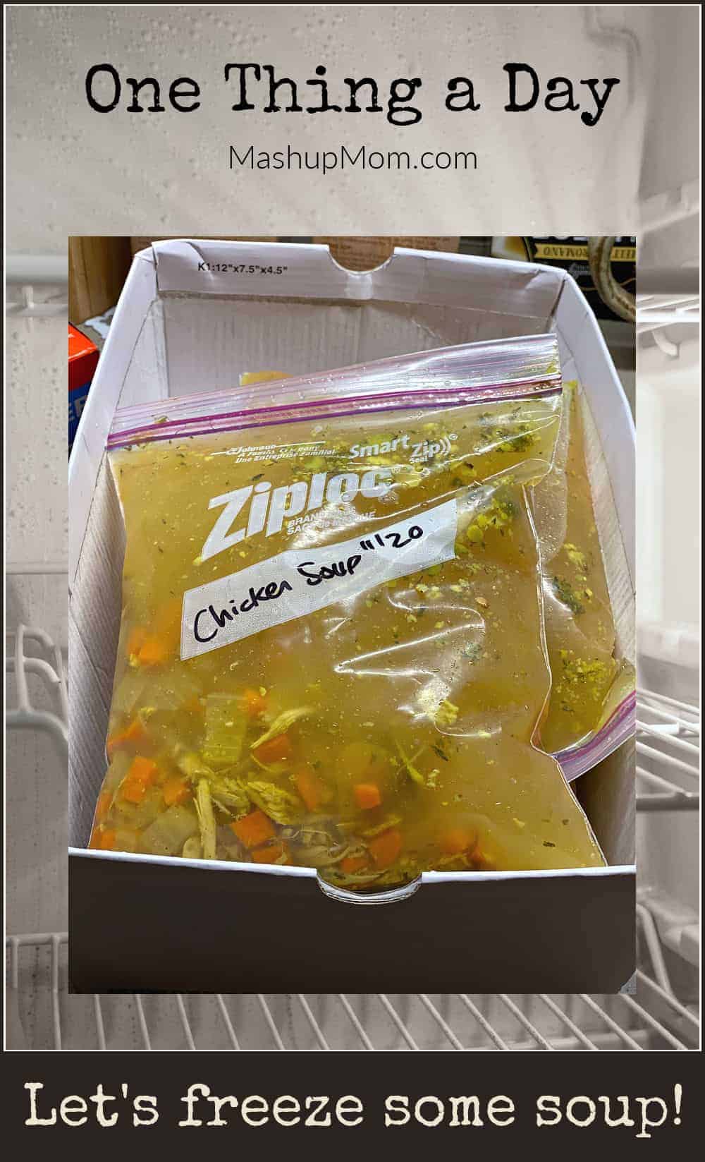 One Thing a Day Let's freeze soup