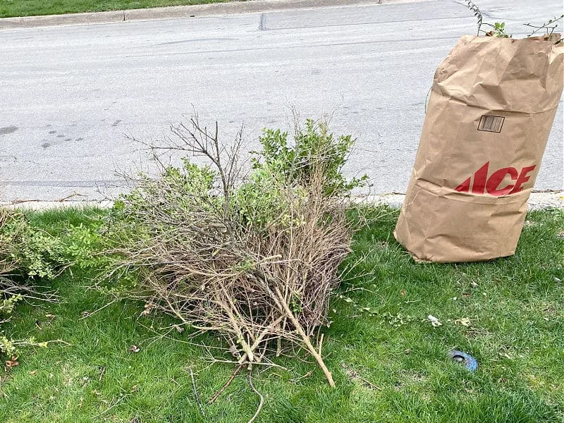 brush and yard waste on the curb
