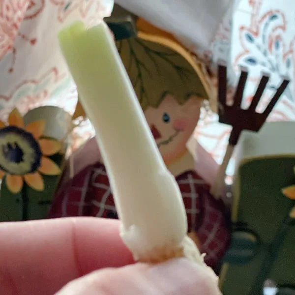chop green onion above the white part