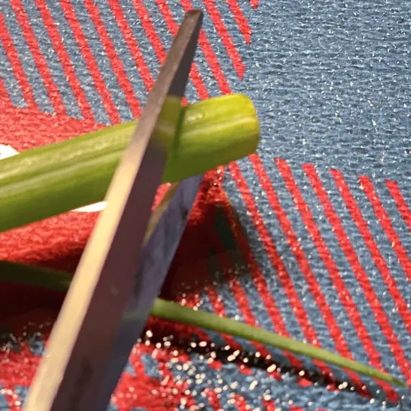 chop green onions with scissors